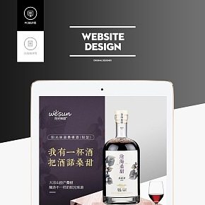 桑葚酒詳情頁(yè)