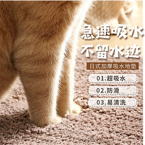 地垫门吸水地毯家用脚垫浴室防滑垫详情页