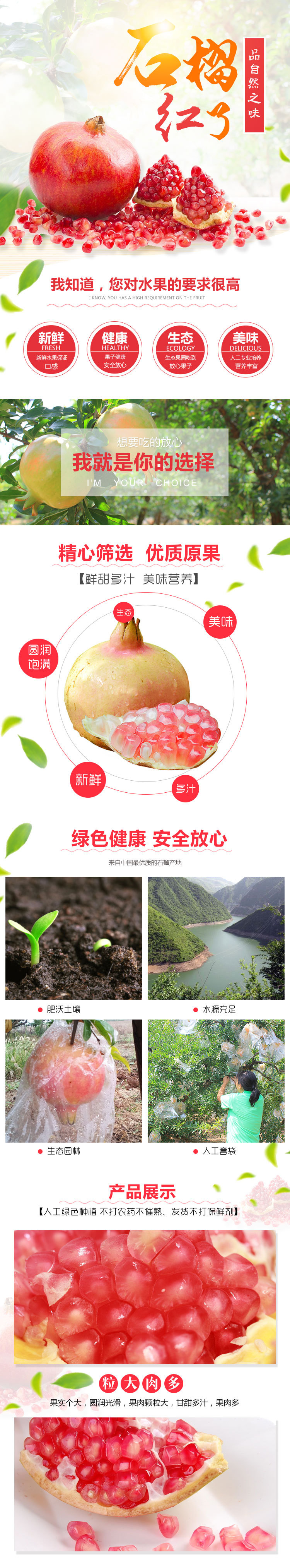 淘寶美工櫻花食品水果紅色石榴詳情頁(yè)作品