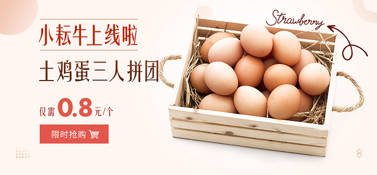 淘寶美工紅鑫農(nóng)產(chǎn)品 海報(bào) 土雞蛋 土雞  蔬菜套餐海報(bào) 有機(jī)食品作品