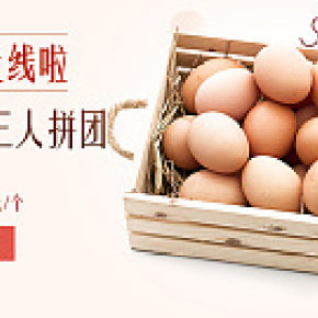 农产品 海报 土鸡蛋 土鸡  蔬菜套餐海报 有机食品