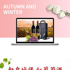 法國紅酒干紅原瓶進口珍藏葡萄酒類