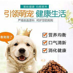 小清新宠物用品食品狗粮猫粮详情页