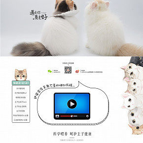 可爱日漫风宠物用品首页专题页活动页