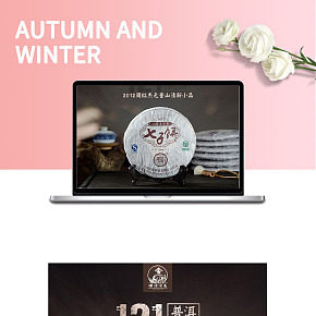 云南普洱茶七子饼茶叶正宗好茶