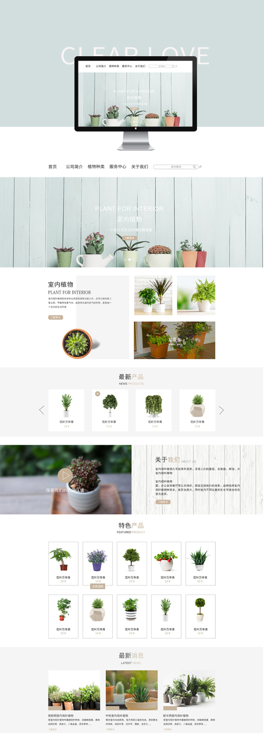 淘寶美工石之磊室內(nèi)進(jìn)化空氣盆栽作品
