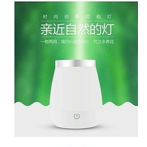 简约家用自然灯