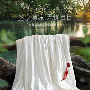 蠶絲夏被雙人空調(diào)被夏日居家需備