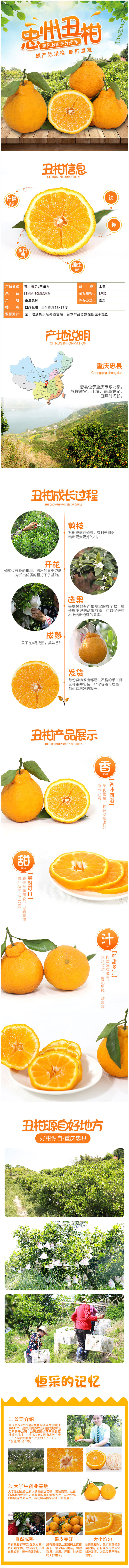 淘寶美工小童水果 橙子 食品作品