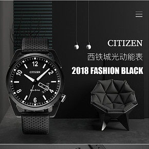 西铁城光动能手表