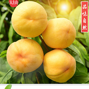 水果，香甜可口饱满