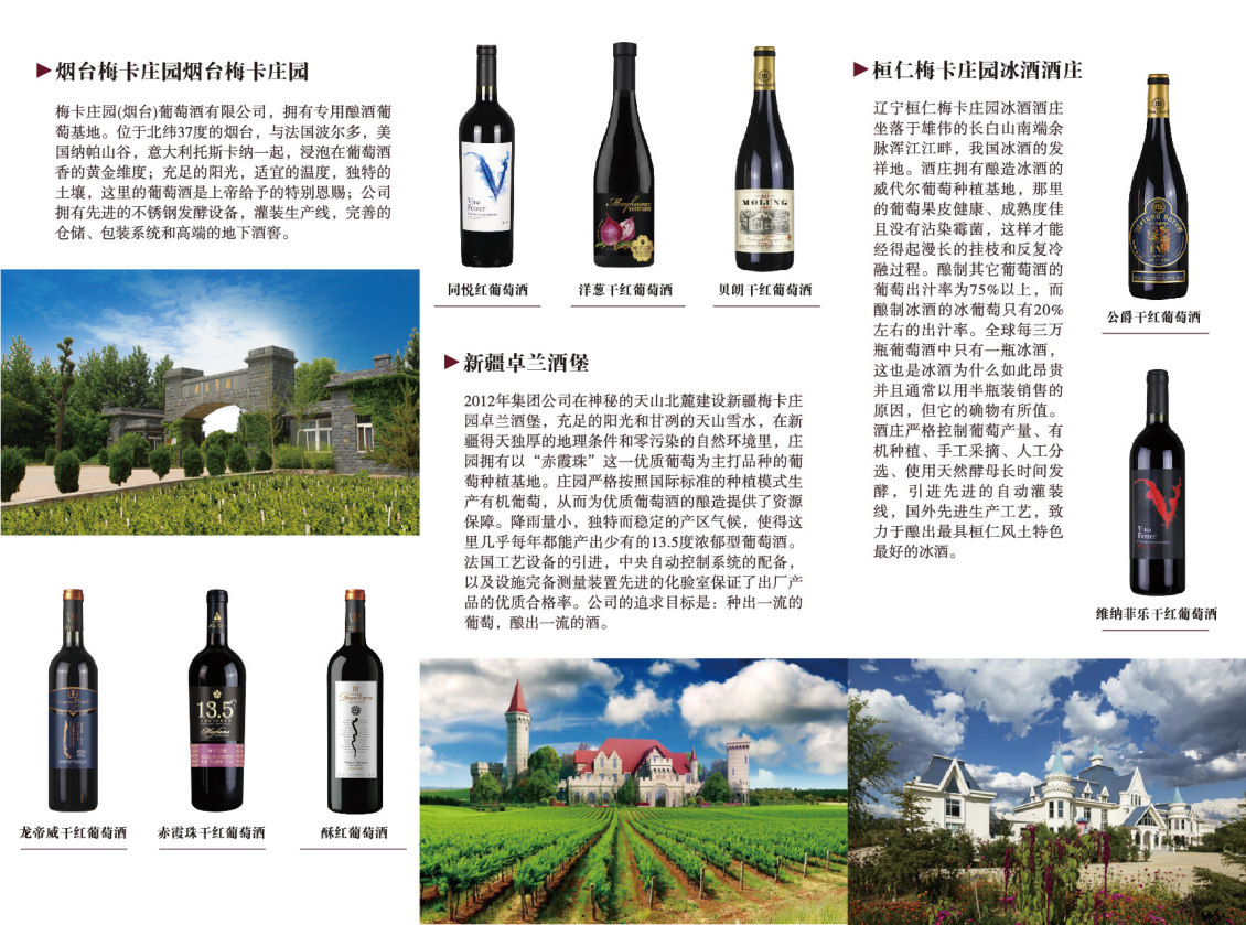 淘宝美工南晴酒类折页临摹作品