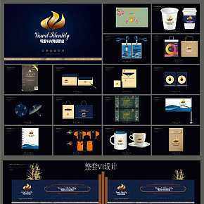 整套精美VI设计