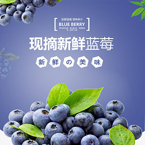藍莓水果詳情頁