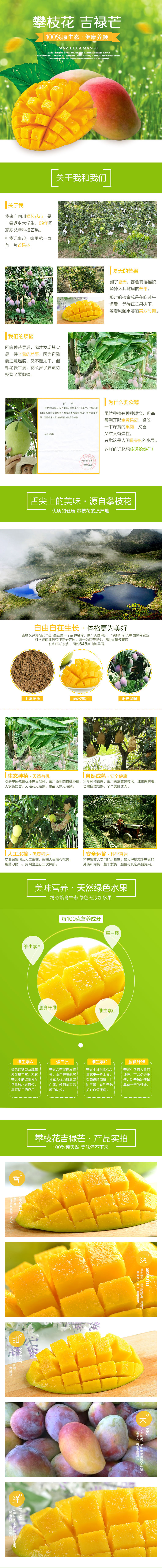 淘宝美工伯乐攀枝花新鲜芒果水果电商详情页作品