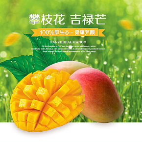 攀枝花新鮮芒果水果電商詳情頁
