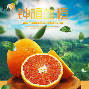 血橙淘宝详情页