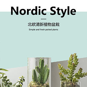 ins北欧清新植物绿植盆景盆栽详情页