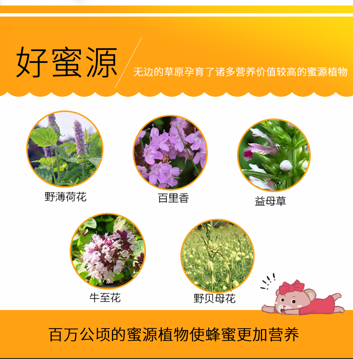 淘宝美工陈庚华济康蜂蜜淘宝详情作品