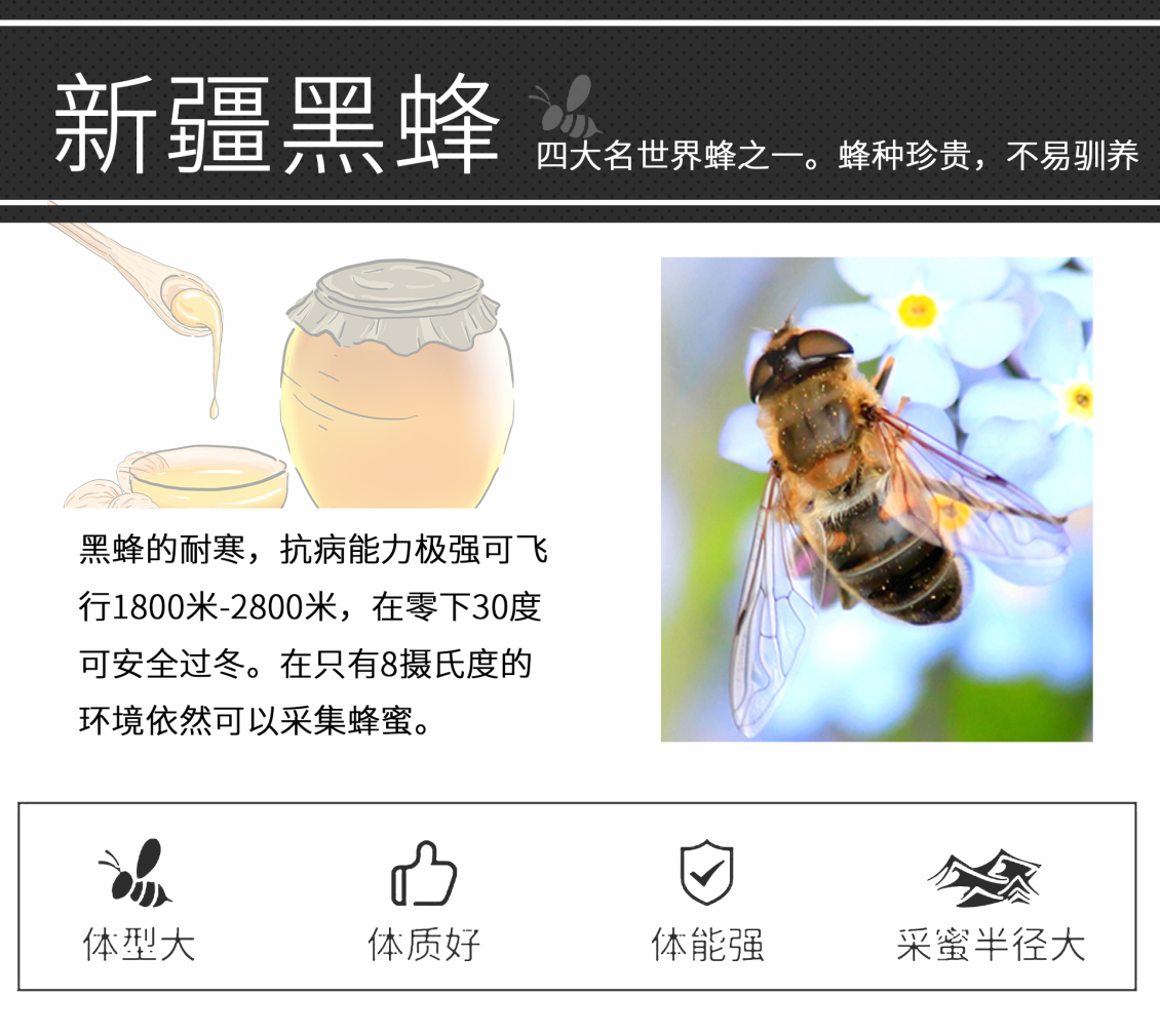 淘宝美工陈庚华济康蜂蜜淘宝详情作品