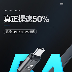 (純渲染)數(shù)據(jù)線詳情