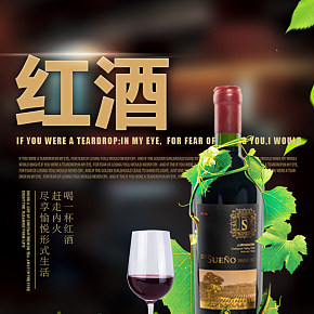 法國紅酒干紅進(jìn)口瓶裝紅葡萄酒