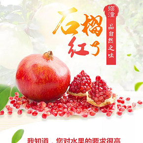 水果健康自然石榴详情页