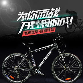 2019自行車新款外觀高配置保證詳情頁