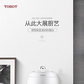 家用迷你电饭煲