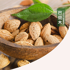 坚果详情页模板