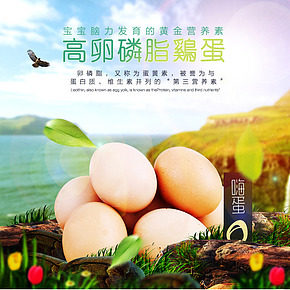 雞蛋詳情頁(yè)模板