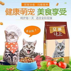 猫粮,时尚简约猫粮详情