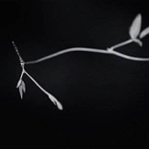 静物写真练习03