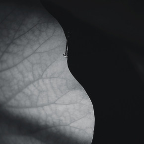 静物写真练习04