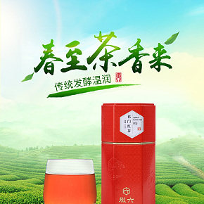 食品红茶茶叶详情页