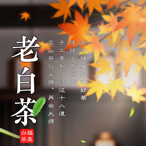 特級茶葉正宗散裝禮盒福鼎白茶茶葉禮盒裝詳情