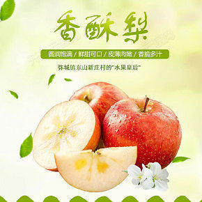 农家种植香酥梨