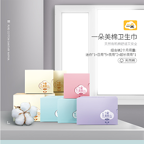 女生大姨媽片日夜用衛(wèi)生巾詳情頁