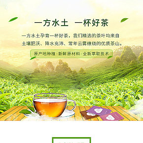 武夷山  原生態(tài)  采摘茶 詳情頁制作