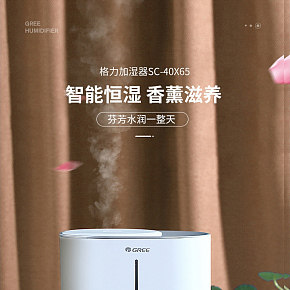 簡(jiǎn)約清新家用電器空氣加濕器詳情頁(yè)設(shè)計(jì)