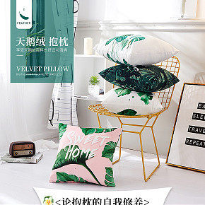 天鹅绒时尚抱枕