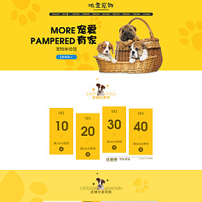 宠物类目狗粮猫粮食品百货首页设计