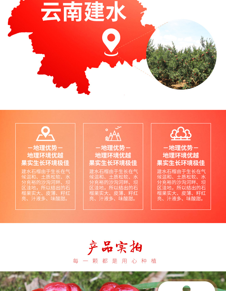 淘宝美工敬敬石榴详情页设计作品