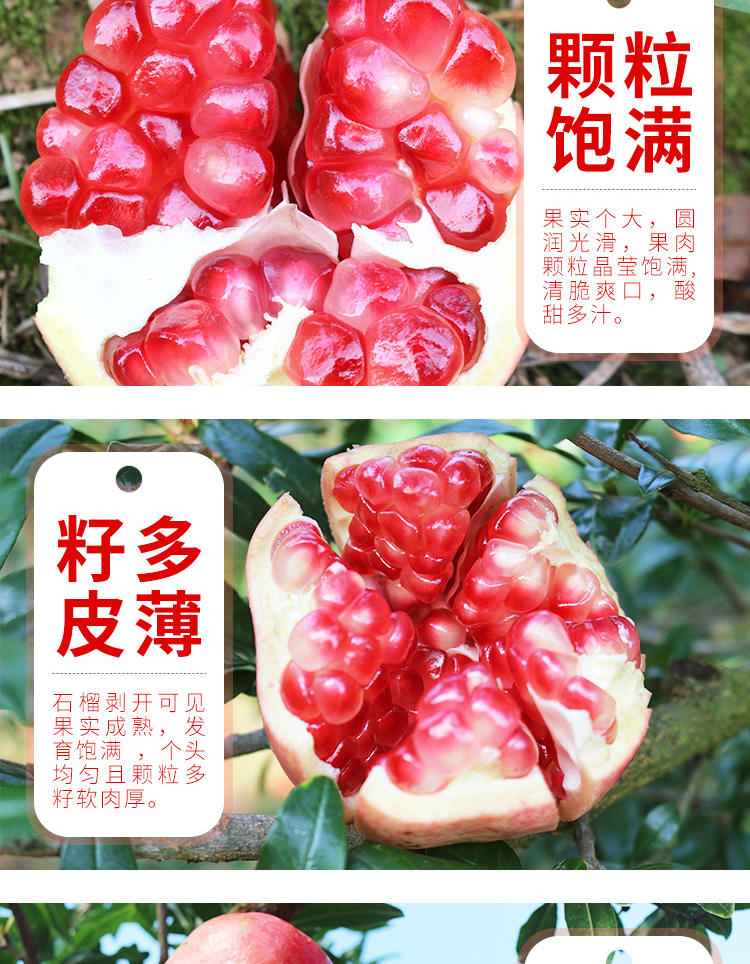 淘宝美工敬敬石榴详情页设计作品