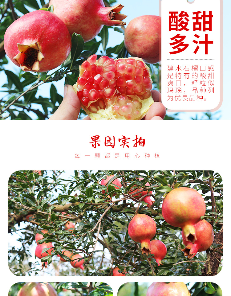 淘宝美工敬敬石榴详情页设计作品