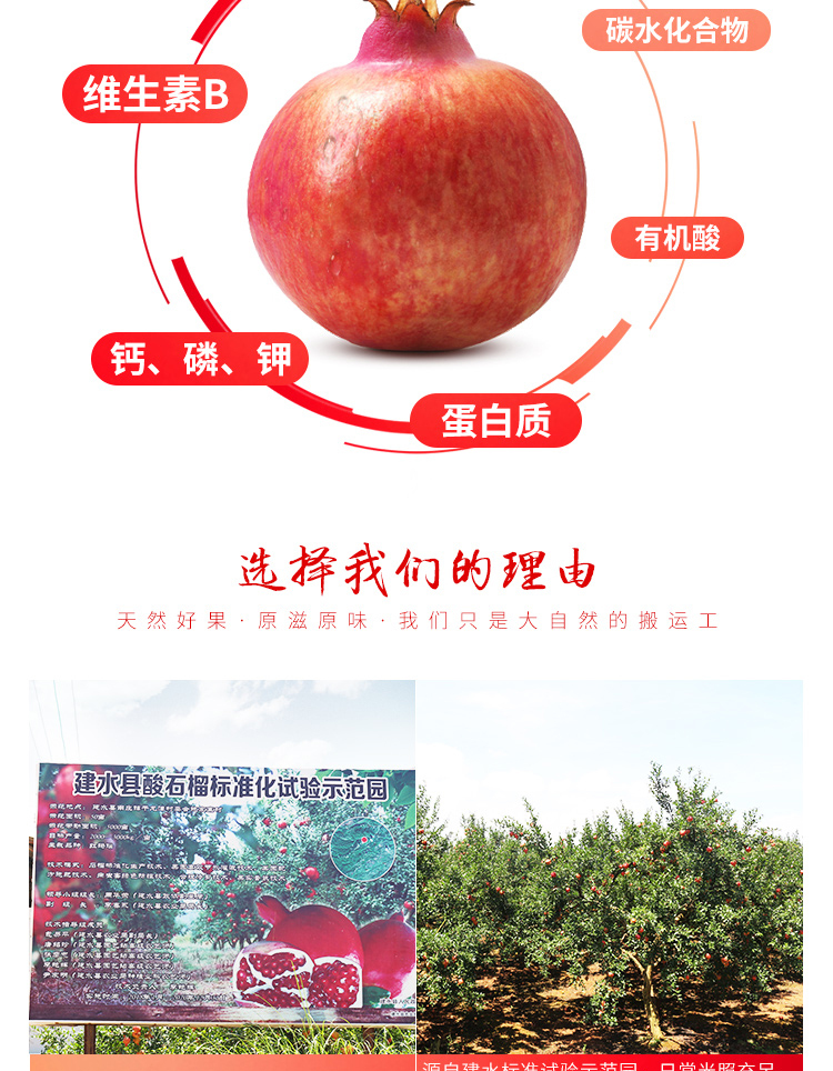 淘宝美工敬敬石榴详情页设计作品