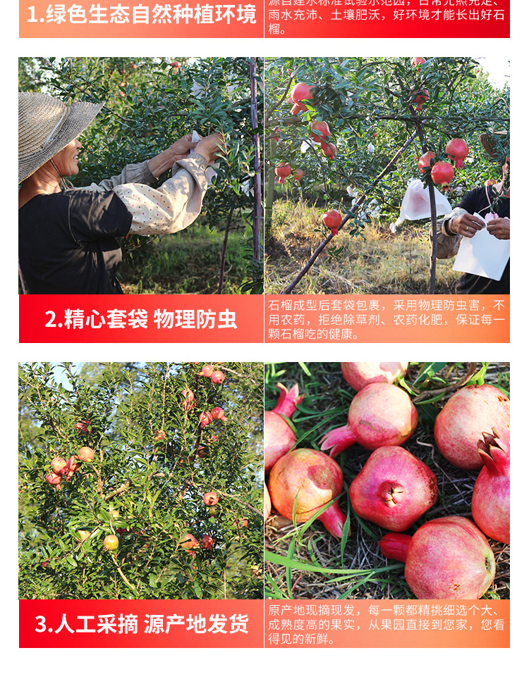 淘宝美工敬敬石榴详情页设计作品