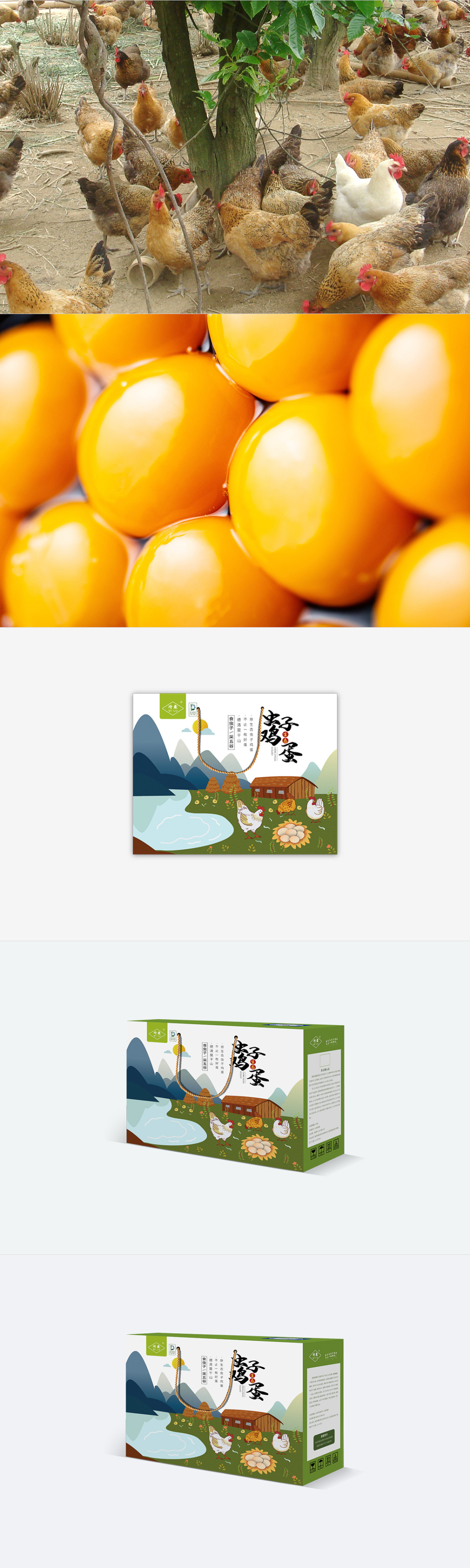 淘宝美工一洲虫子鸡蛋包装盒设计作品