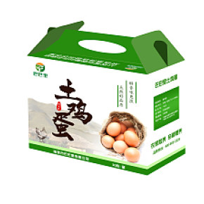 食品鸡蛋包装概念图