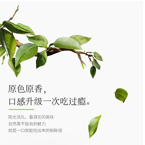 果脯零食芒果片详情页